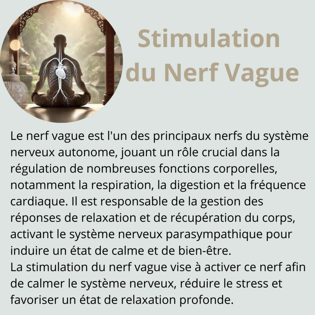 alt="Stimulation du nerf vague"